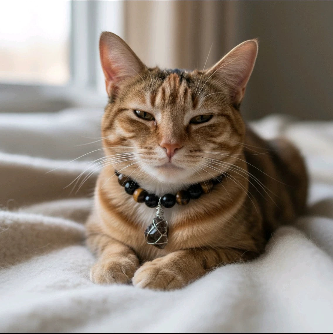 Guardian Paw Energy Crystal Collar - Crystal Pet Collar - SoulVibeCo
