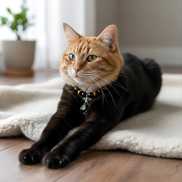 Guardian Paw Energy Crystal Collar