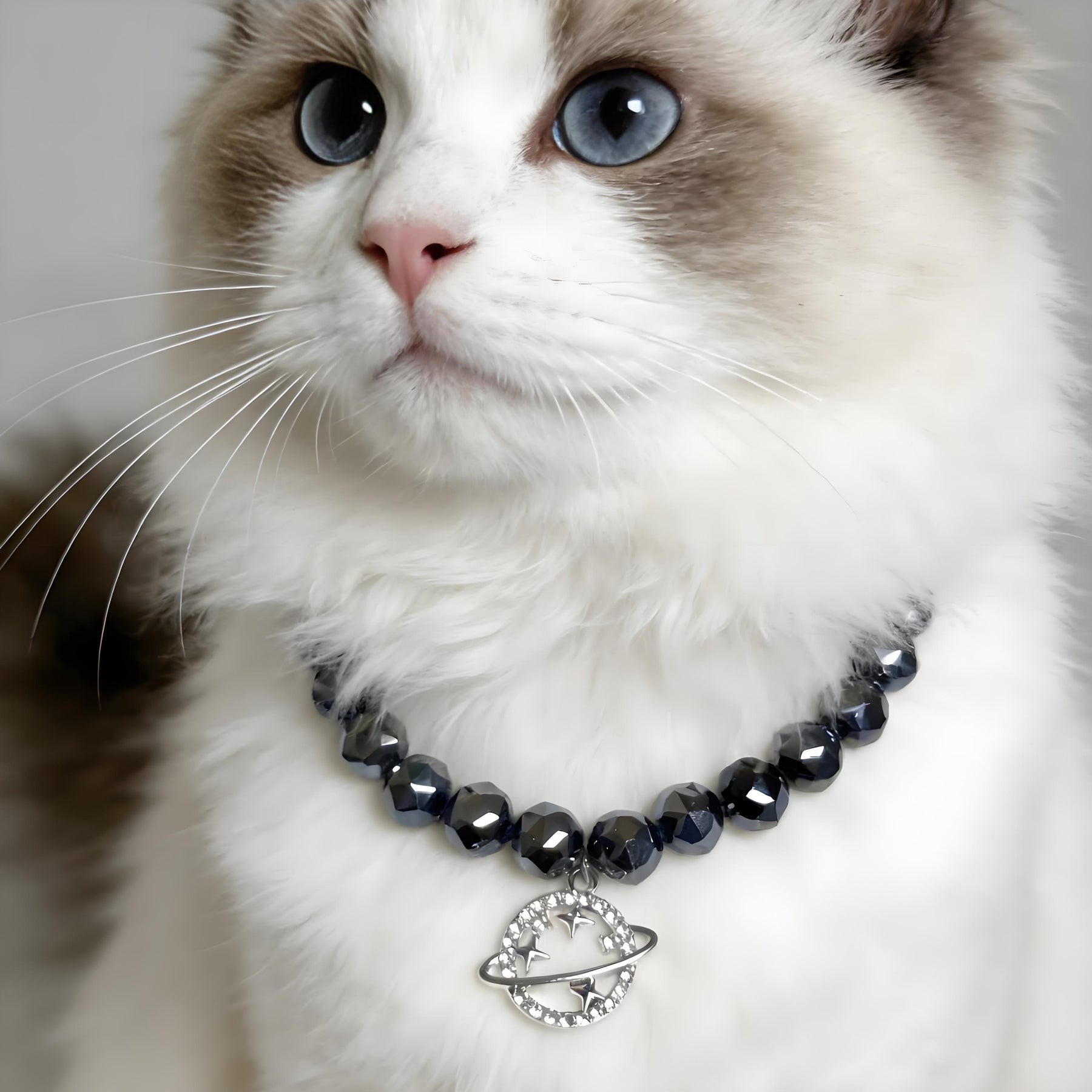 Lunar Guardian Pet Crystal Necklace - Protection Crystal for Pets - SoulVibeCo
