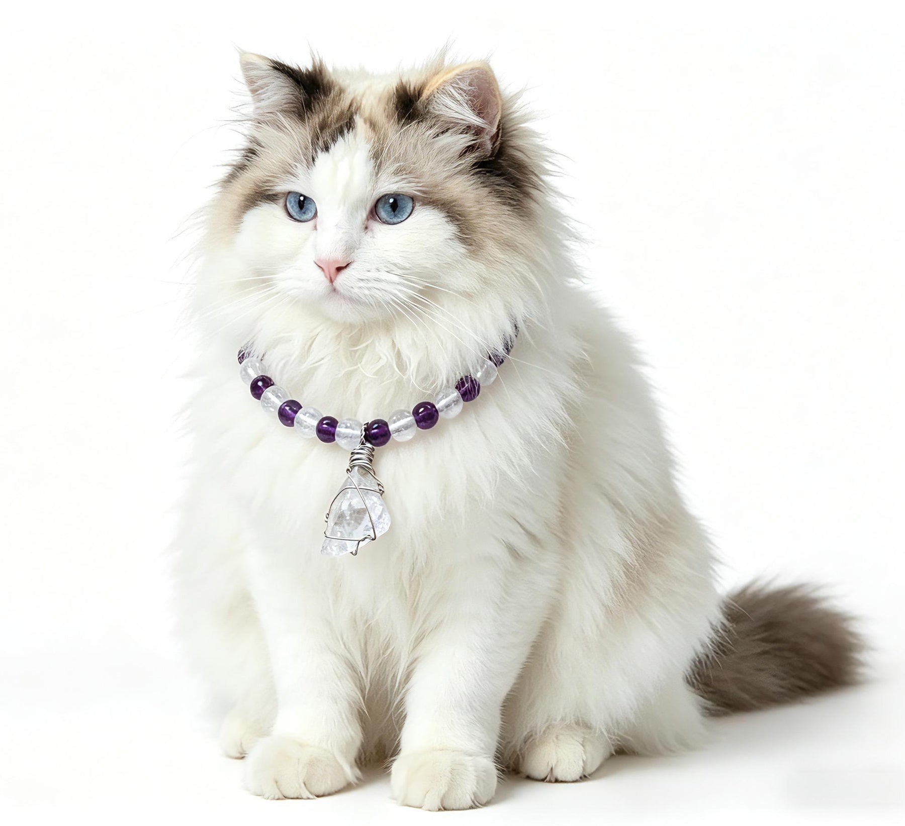 Moonlight Guardian Pet Crystal Collar - Amethyst Pet Collar - SoulVibeCo
