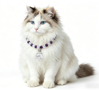 Moonlight Guardian Pet Crystal Collar - Amethyst Pet Collar - SoulVibeCo

