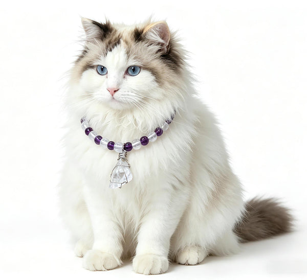 Moonlight Guardian Pet Crystal Collar