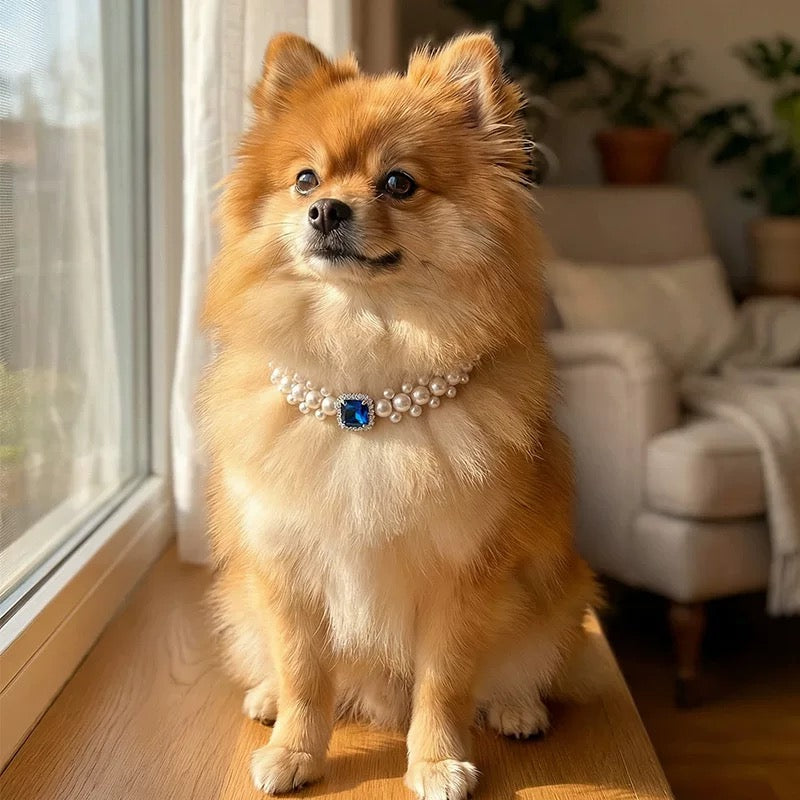 Royal Harmony Pearl Pet Necklace - Crystal Pet Jewelry - SoulVibeCo
