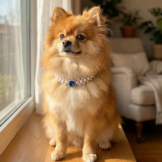 Royal Harmony Pearl Pet Necklace - Crystal Pet Jewelry - SoulVibeCo
