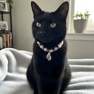Tender Heart Pet Crystal Collar - Rose Crystal Cat & Dog Collar - SoulVibeCo
