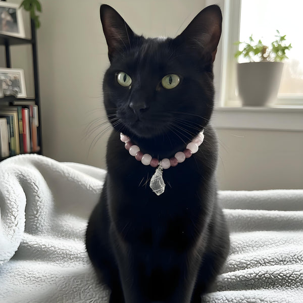 Tender Heart Pet Crystal Collar