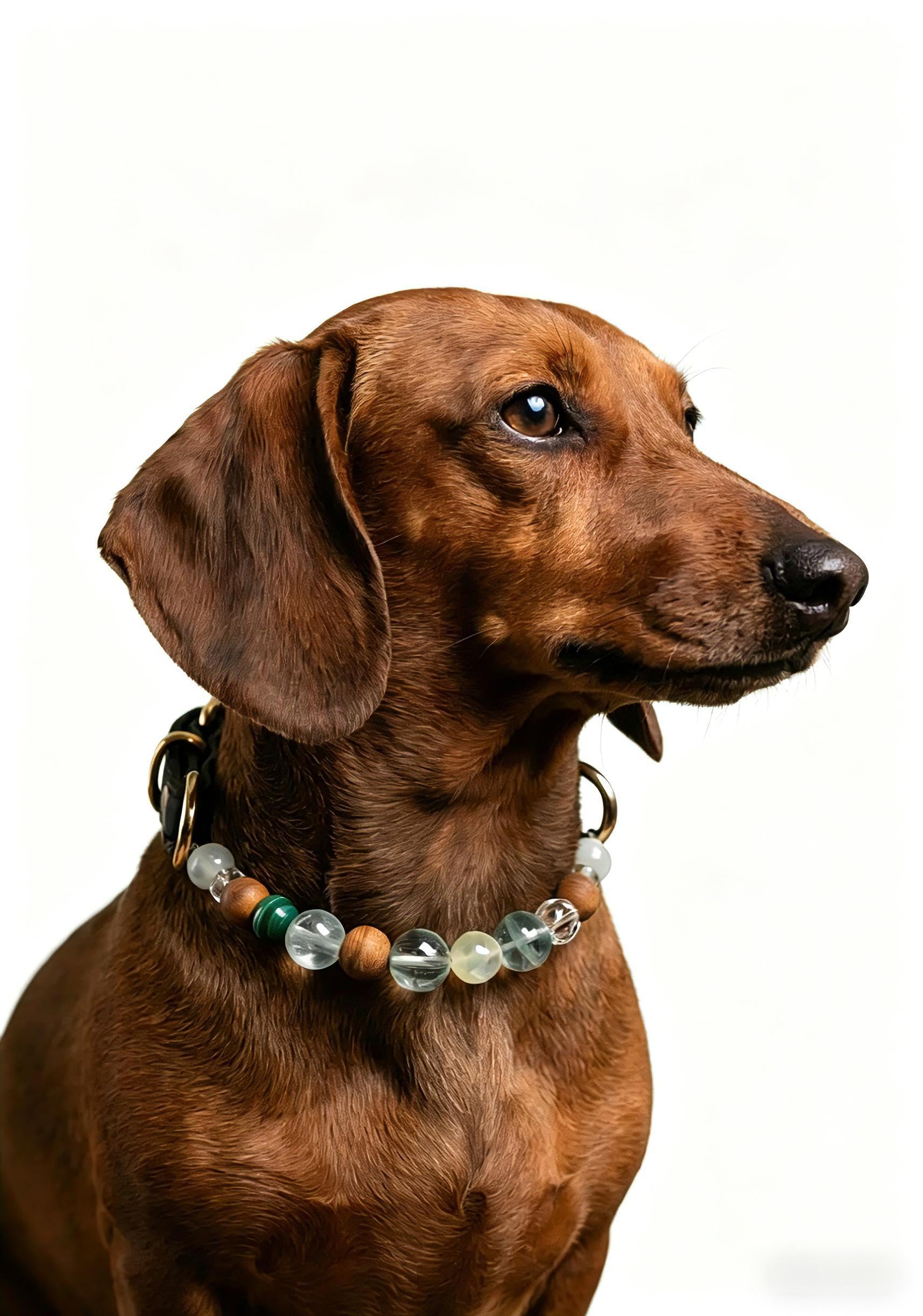 Vital Guardian Crystal Leather Dog Collar - Energy Crystal Pet Collar - SoulVibeCo

