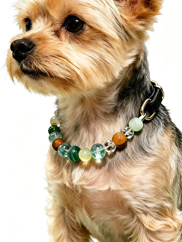 Vital Guardian Crystal Leather Dog Collar